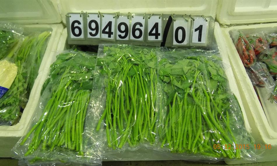 2015-12-8-953foto 3.JPG